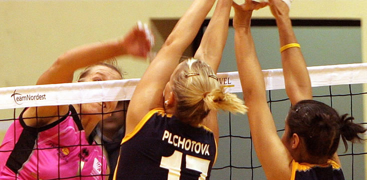 ddos在线攻击测试网站